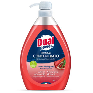 Detergent Concentrat Vase Dual Power cu Aloe si Rodie 1000 ml