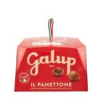 Cozonac artizanal italian Panettone Galup Classico 1Kg